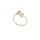 Fossil 04734710