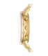 Fossil ES5219