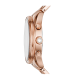 Fossil BQ3659