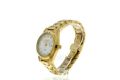 Roamer 203844 48 19 20